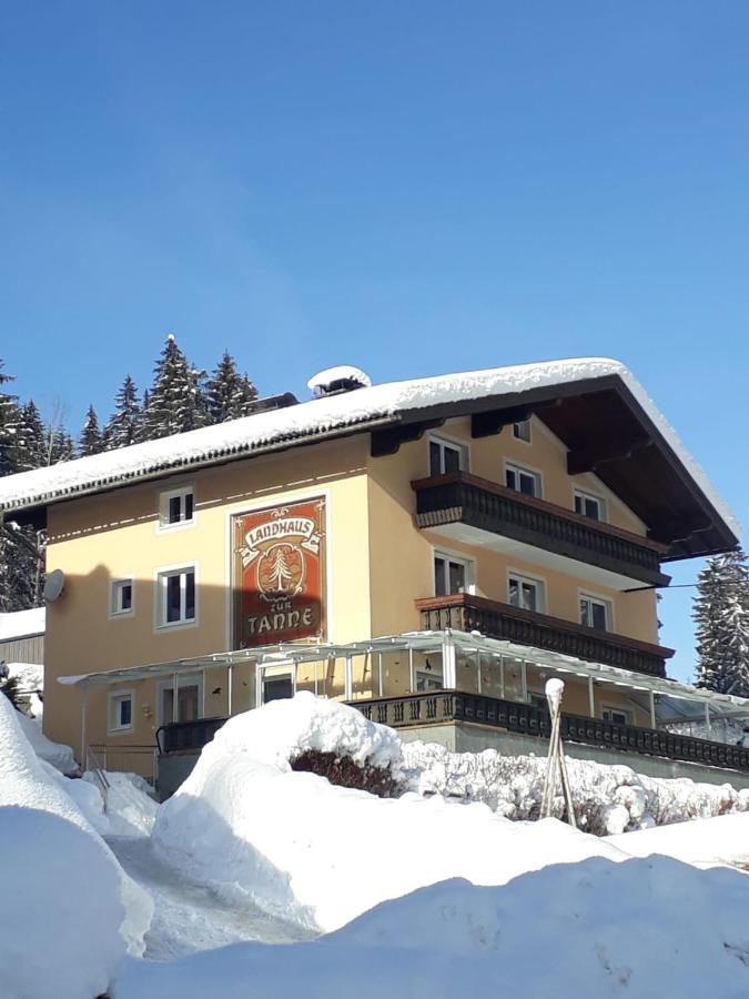 Zur Tanne Apartment